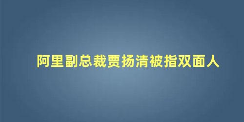 阿里副总裁贾扬清被指双面人